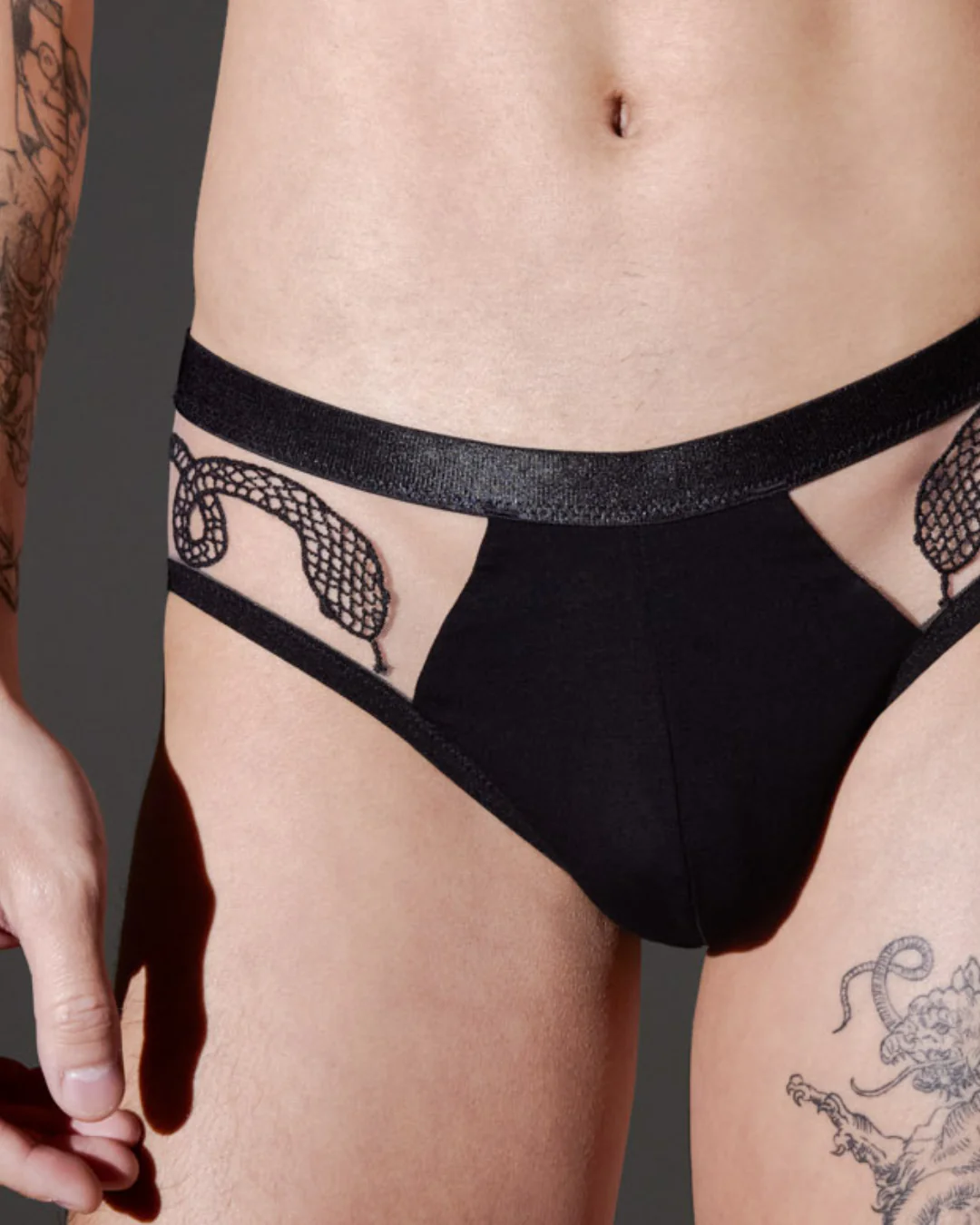 Medusa V-Cut Brief - Available in Multiple Nudes - Image 7